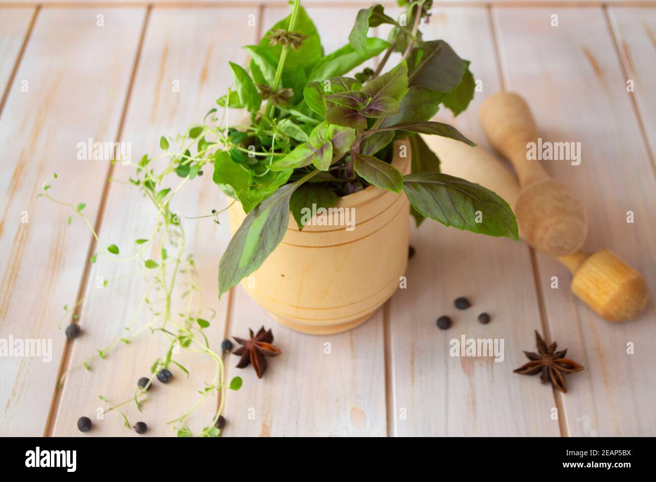 Eine Mischung aus italienischen Kräutern in einer Vase mit Zimt und Gewürzen. Stockfoto