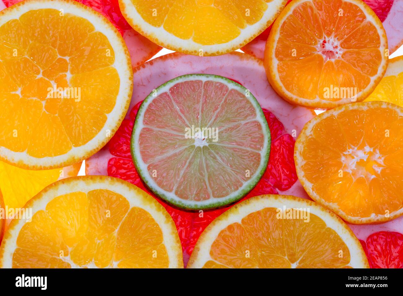 Hintergrund von Fruchtscheiben aus roter Grapefruit, grüner Limette und Mandarine, Nahaufnahme Stockfoto