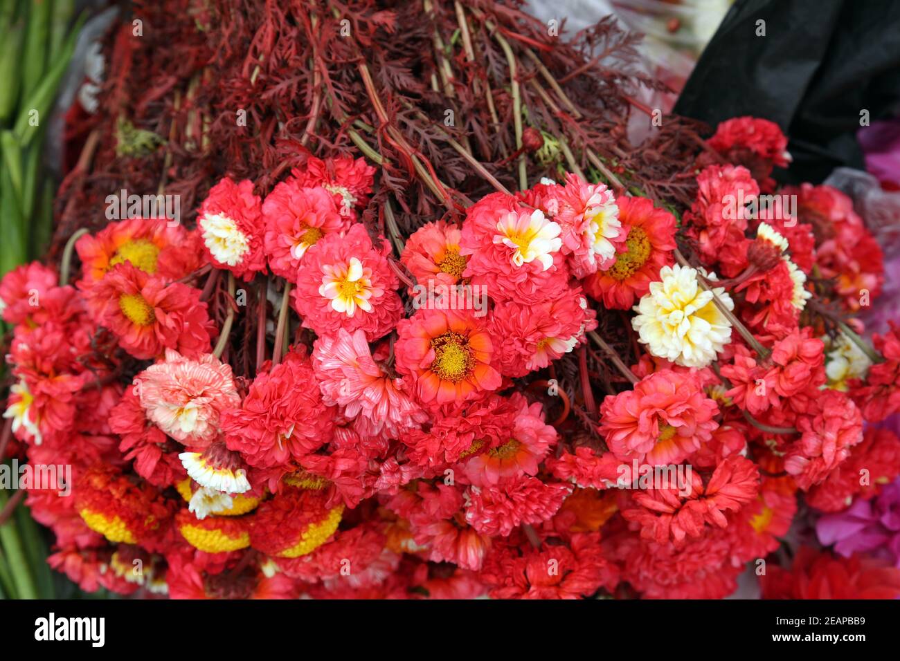 Blumen und Girlanden zum Verkauf auf dem Blumenmarkt in Kalkutta, West Bengal, Indien Stockfoto