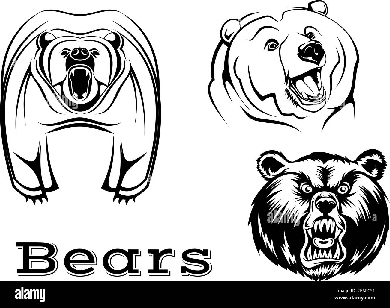 Starke wütend Grizzly trägt Zeichen isoliert auf weiß für Tattoo, Wildlifel und Maskottchen-Design Stock Vektor