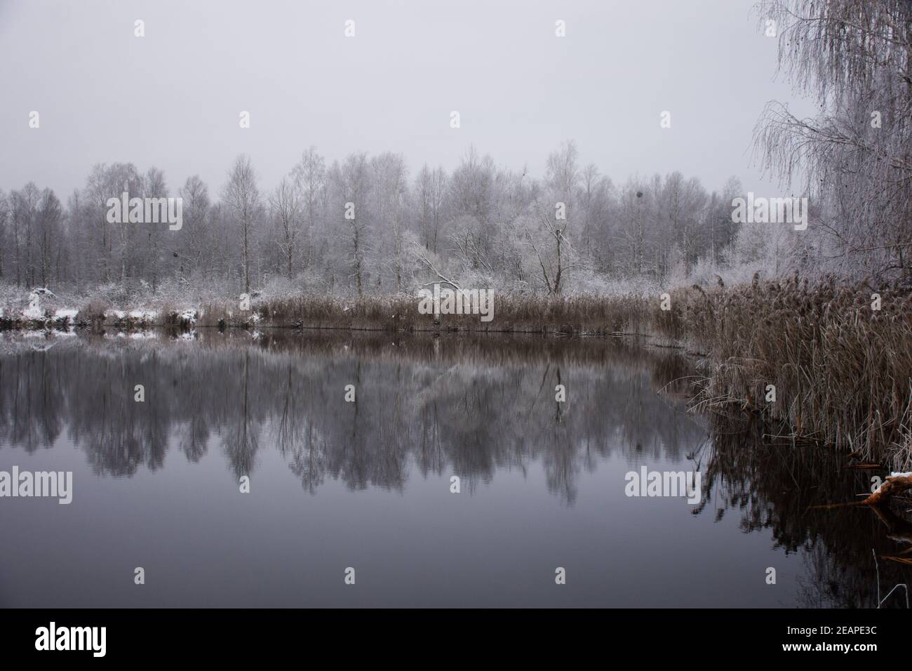 Winter frostige Landschaft Stockfoto Winter frostige Landschaft Stockfoto