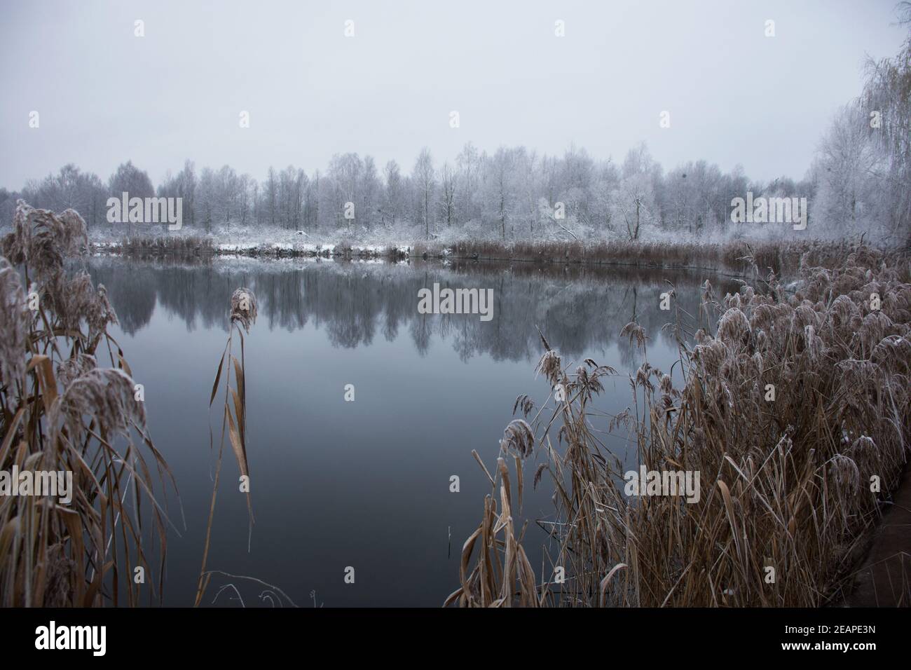 Winter frostige Landschaft Stockfoto Winter frostige Landschaft Stockfoto