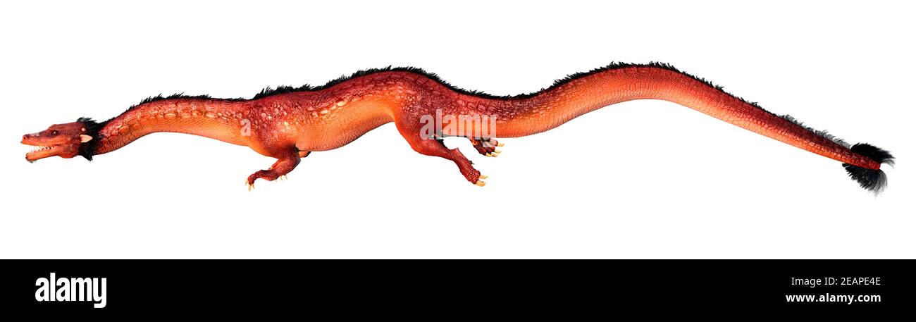 3D-Rendering östlichen Drachen auf Weiß Stockfoto