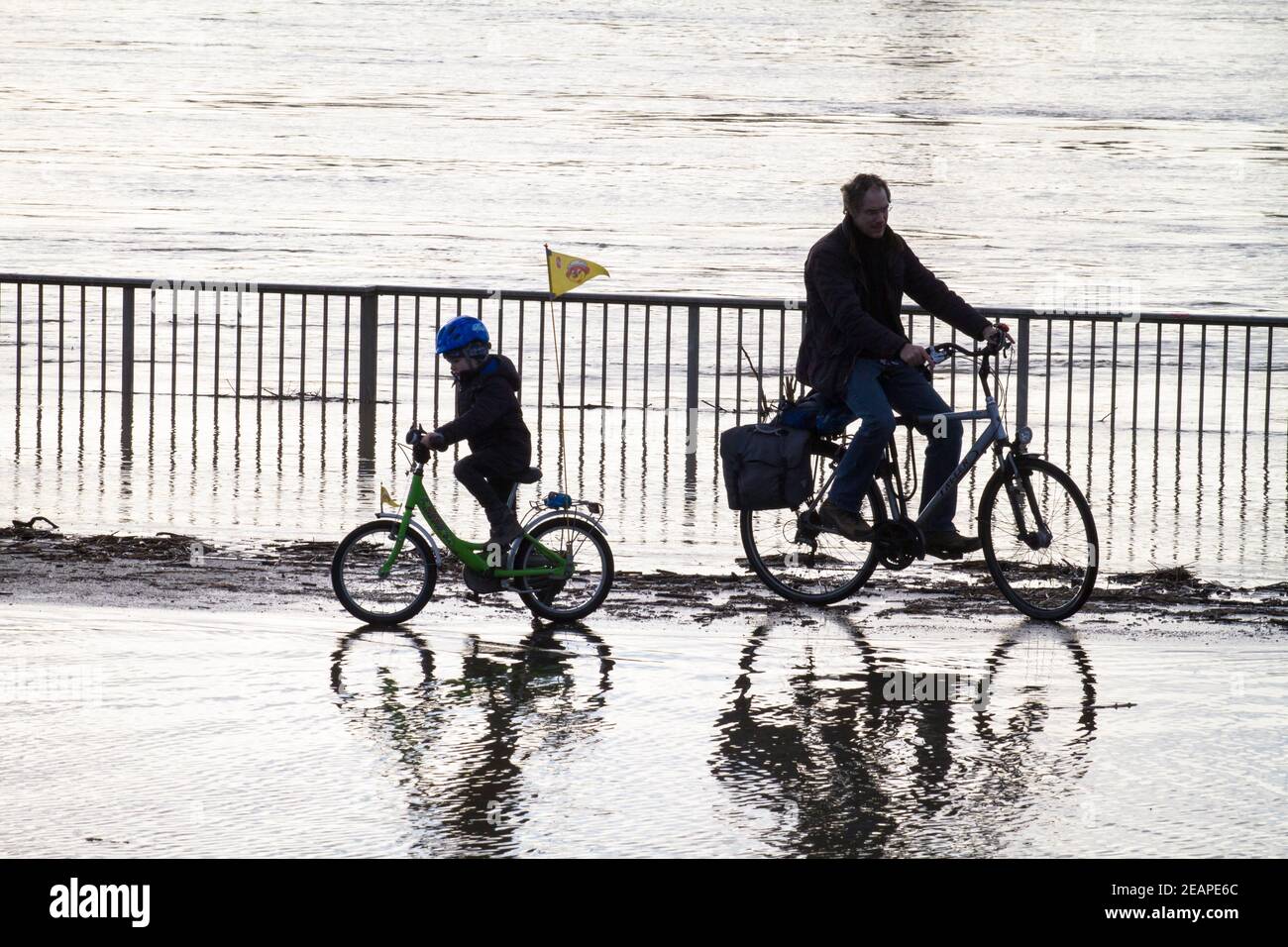 Rheinflut am 4th. Februar 2021 fahren Kinder und Erwachsene auf dem überfluteten Rheinufer in Deutz, Köln, Deutsch, Fahrrad durch das Wasser Stockfoto