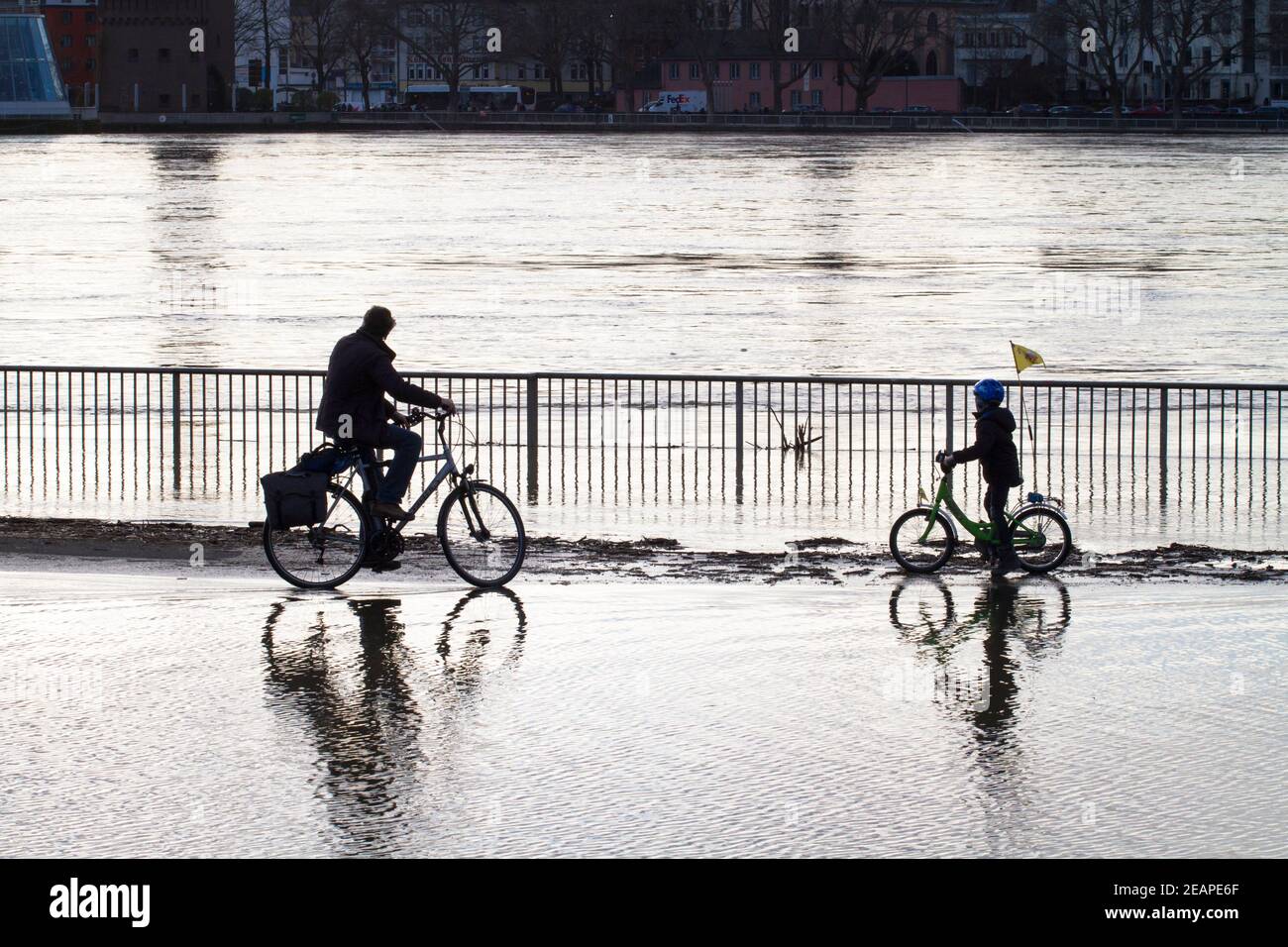 Rheinflut am 4th. Februar 2021 fahren Kinder und Erwachsene auf dem überfluteten Rheinufer in Deutz, Köln, Deutsch, Fahrrad durch das Wasser Stockfoto