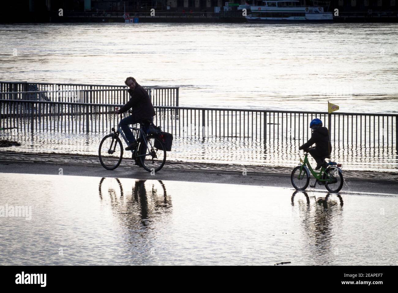 Rheinflut am 4th. Februar 2021 fahren Kinder und Erwachsene auf dem überfluteten Rheinufer in Deutz, Köln, Deutsch, Fahrrad durch das Wasser Stockfoto