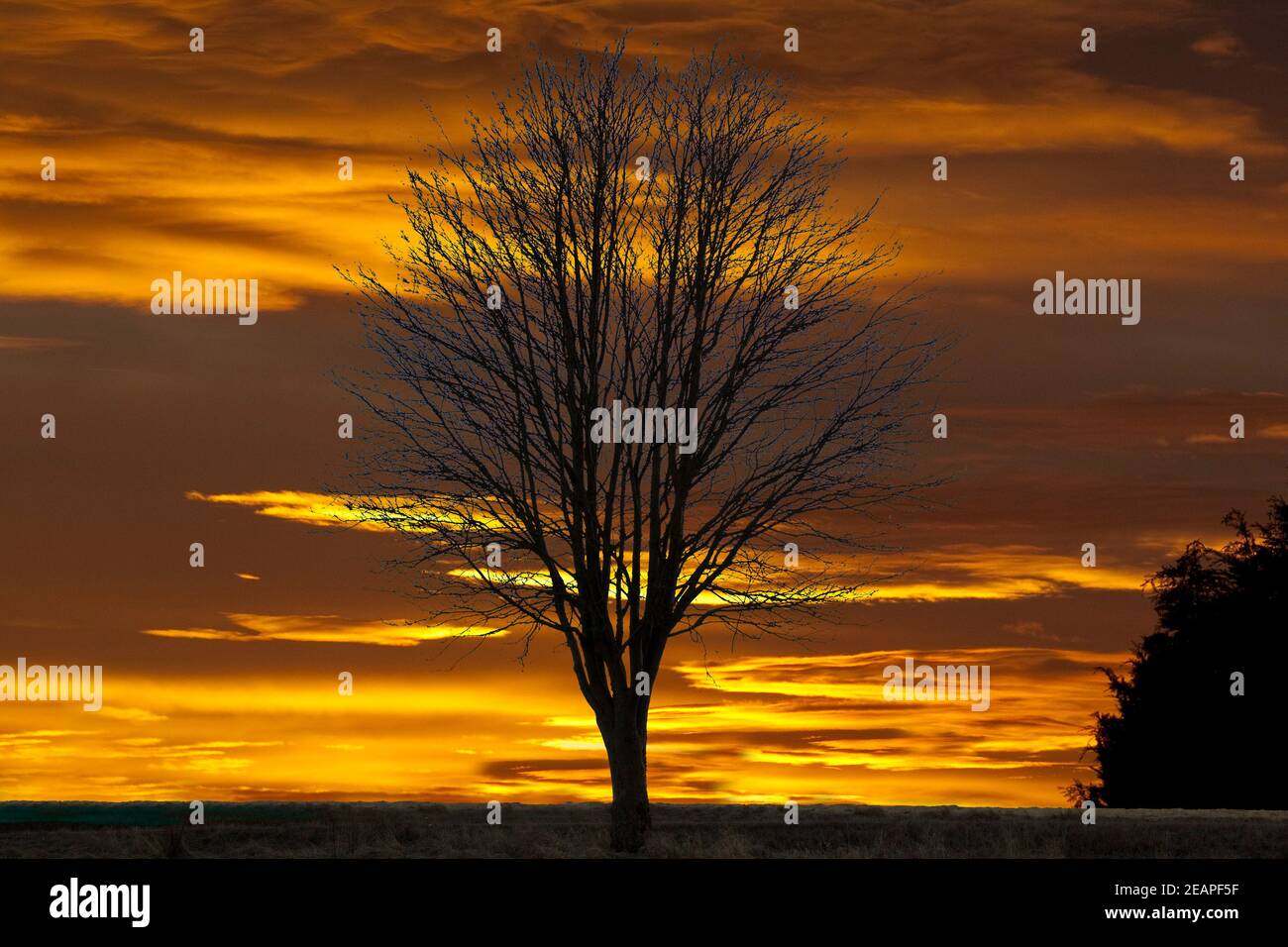 Sonnenaufgang Morgenrot Stockfoto