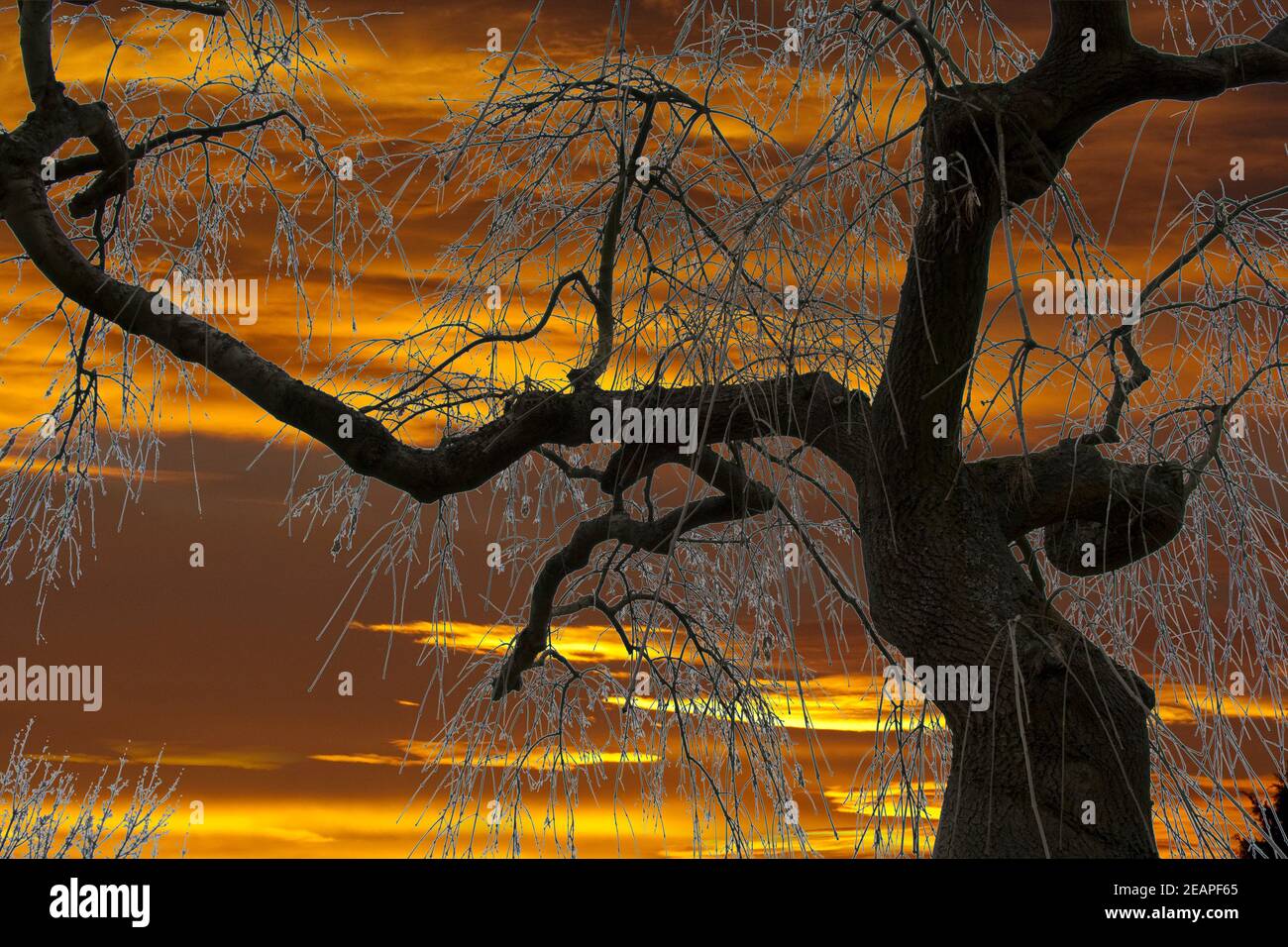 Sonnenaufgang Morgenrot Stockfoto
