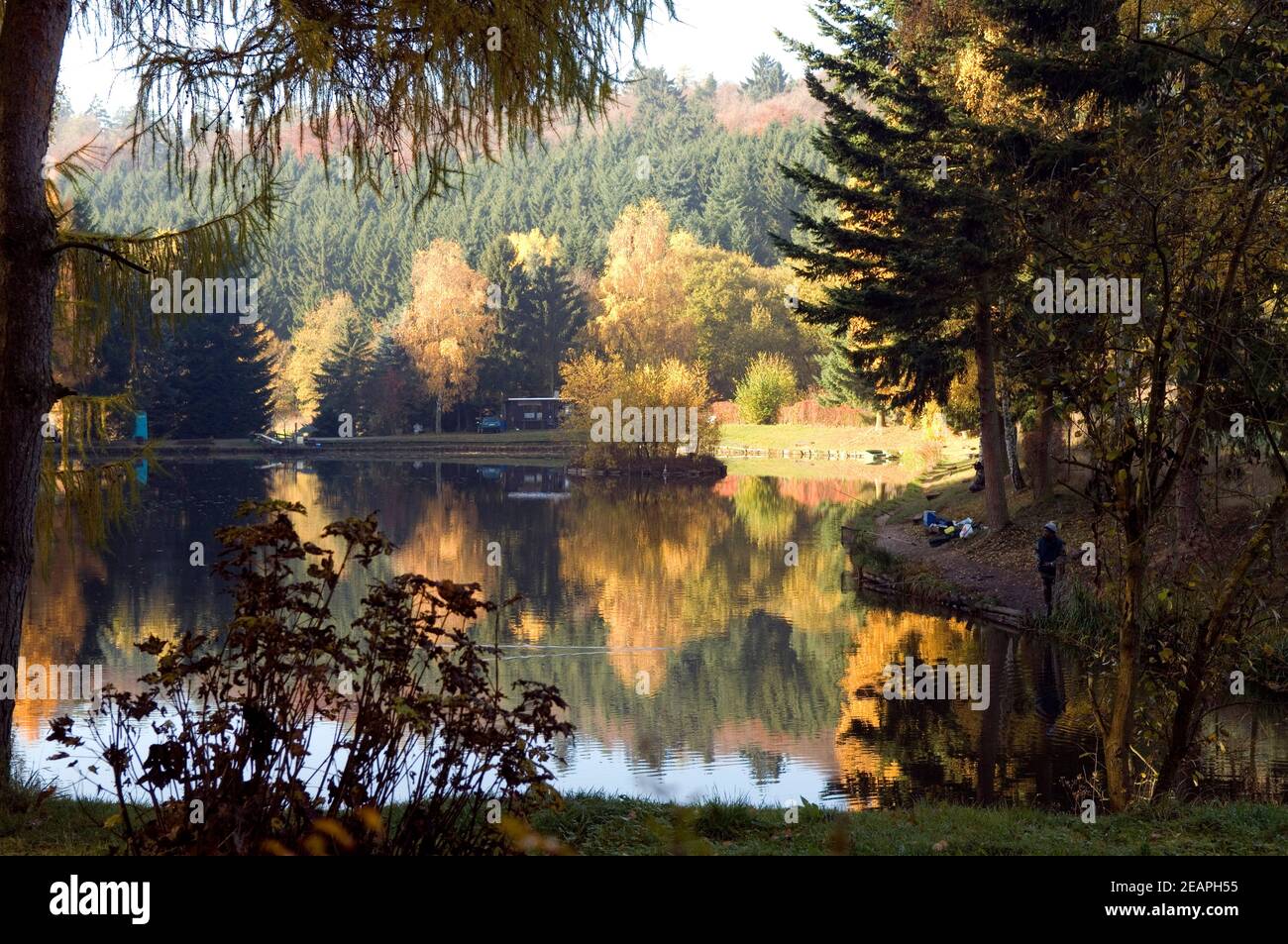Bach teich weiher Fotos und Bildmaterial in hoher Auflösung Alamy
