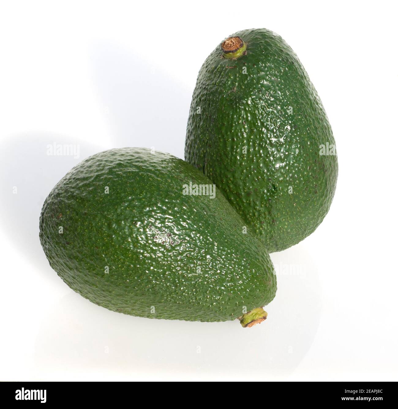 Avocado, Persea americana Stockfoto