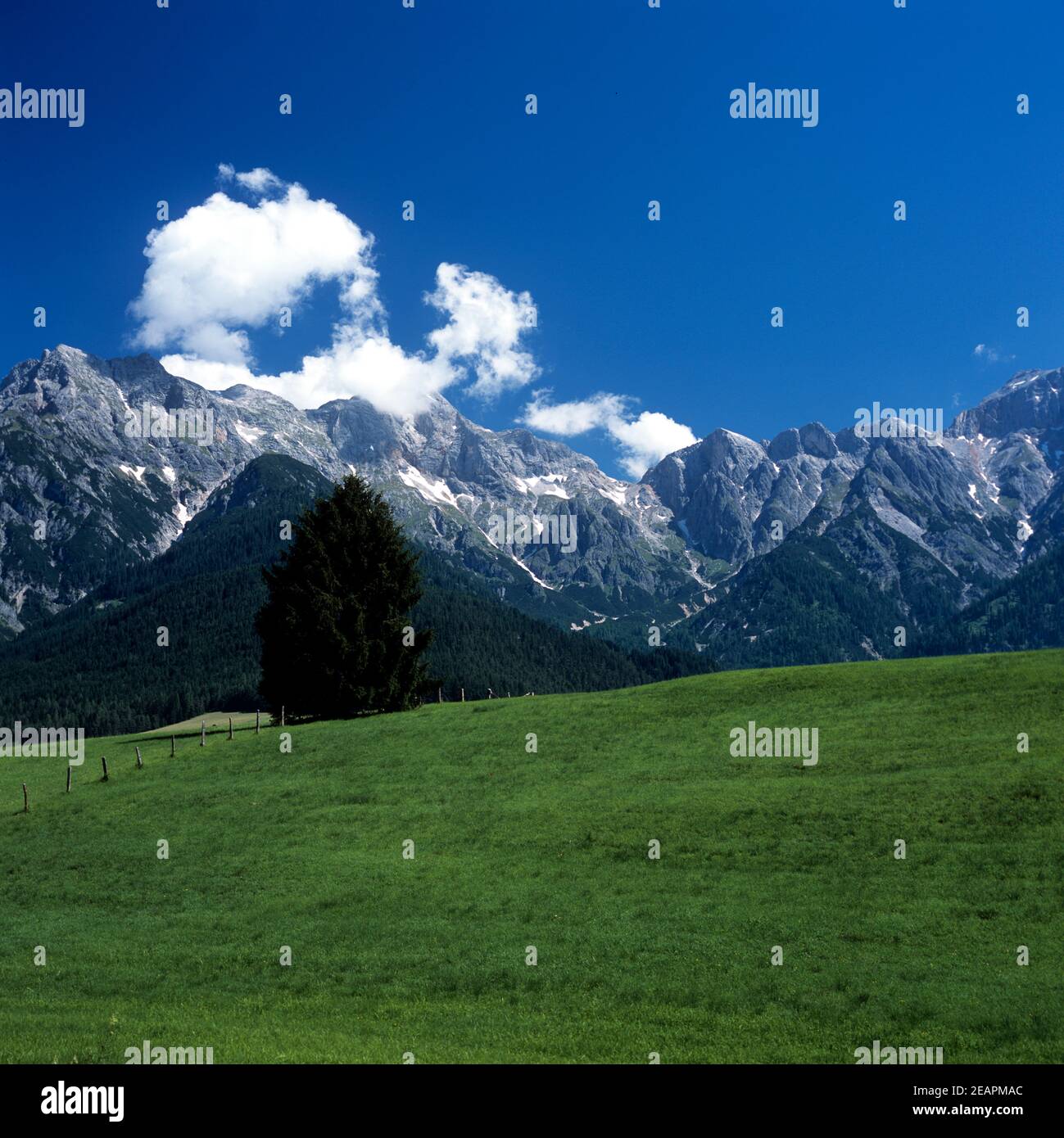 Berchtesgadener Alpen Stockfoto