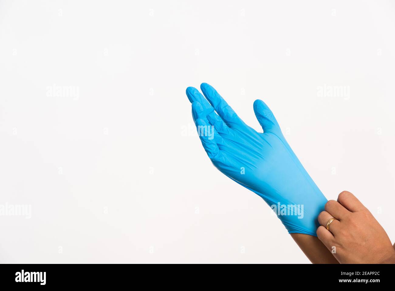 Frau trägt und die Hand zu blauen Gummilatexhandschuh Stockfoto