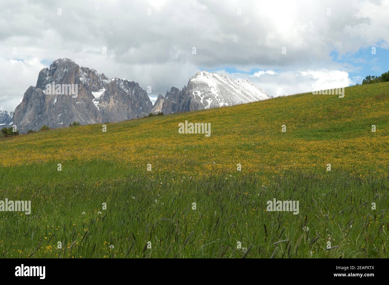 Plattkofels, Langkofel, Seiser, Alm, S Stockfoto