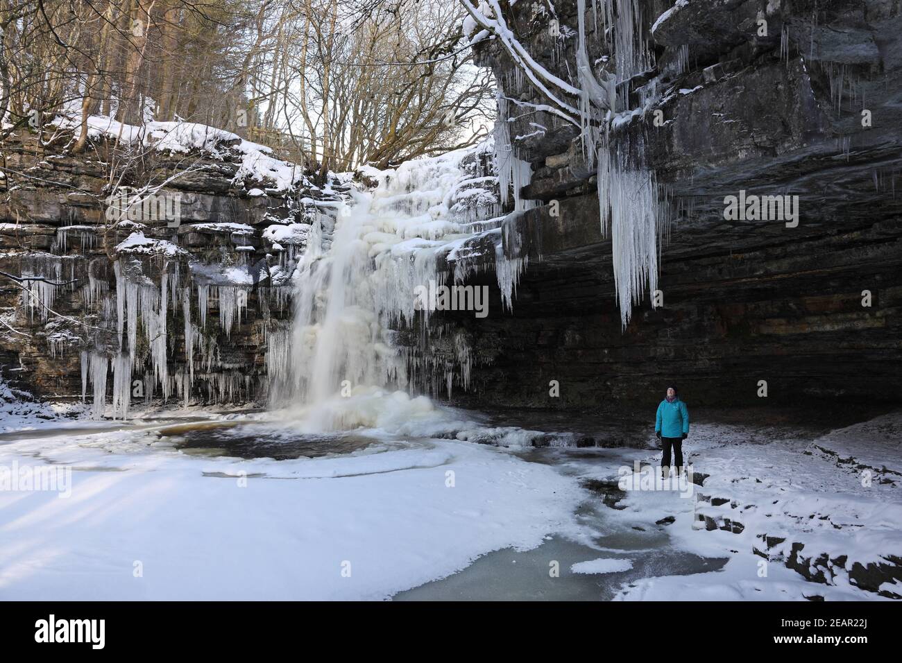 Summerhill Force, Bowlees, Teesdale, County Durham, Großbritannien. 10th. Februar 2021. Wetter in Großbritannien. Eine Frau untersucht einige spektakuläre Eiszapfen und den gefrorenen Wasserfall von Summerhill Force, während die Temperaturen in Teesdale, County Durham, weiterhin deutlich unter dem Gefrierpunkt bleiben. Kredit: David Forster/Alamy Live Nachrichten Stockfoto