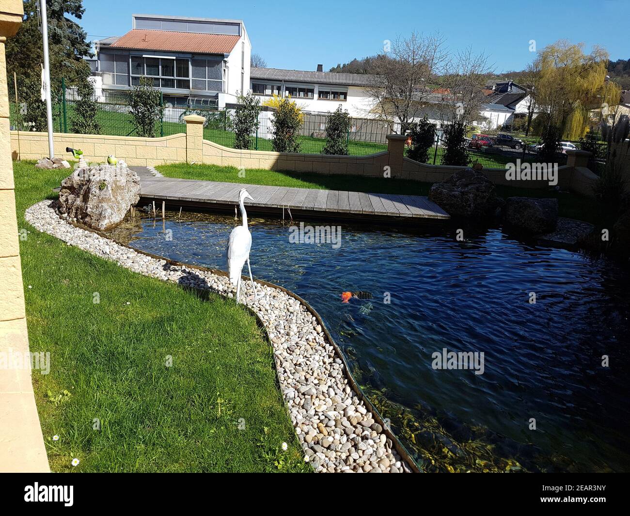 Schwimmteich, Gartenteich Wasser Stockfoto