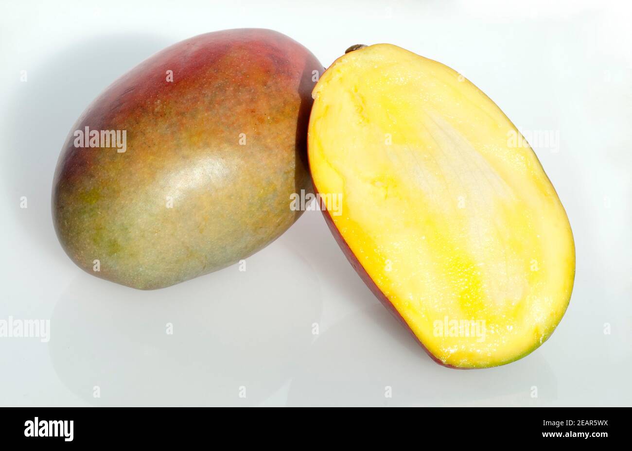 Mango, Mangifera indica Stockfoto