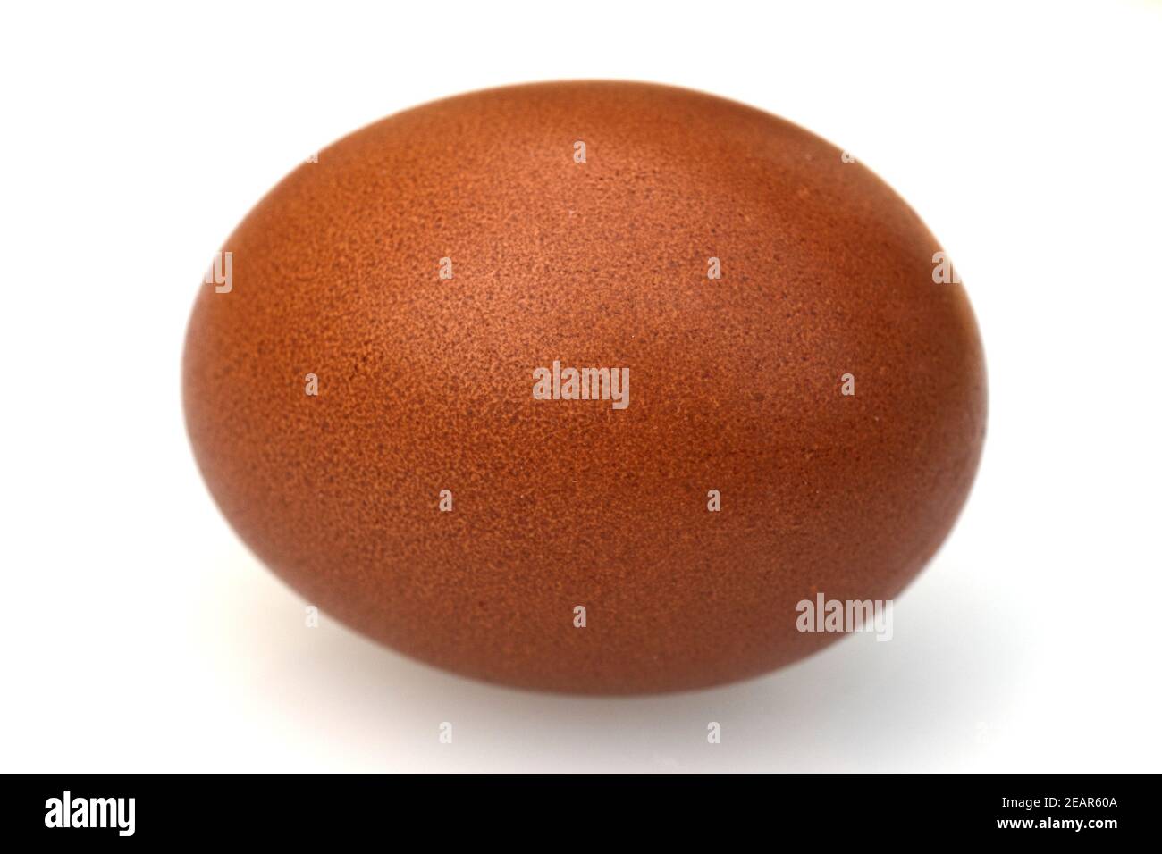 Maran Huhnchen Stockfotos Und Bilder Kaufen Alamy