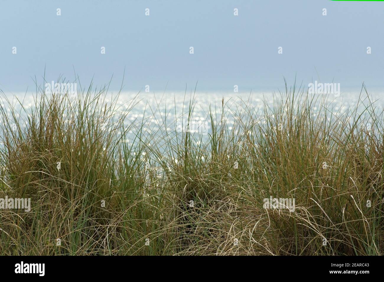 Nordseeduene Nordsee See Meer Sand Stockfoto