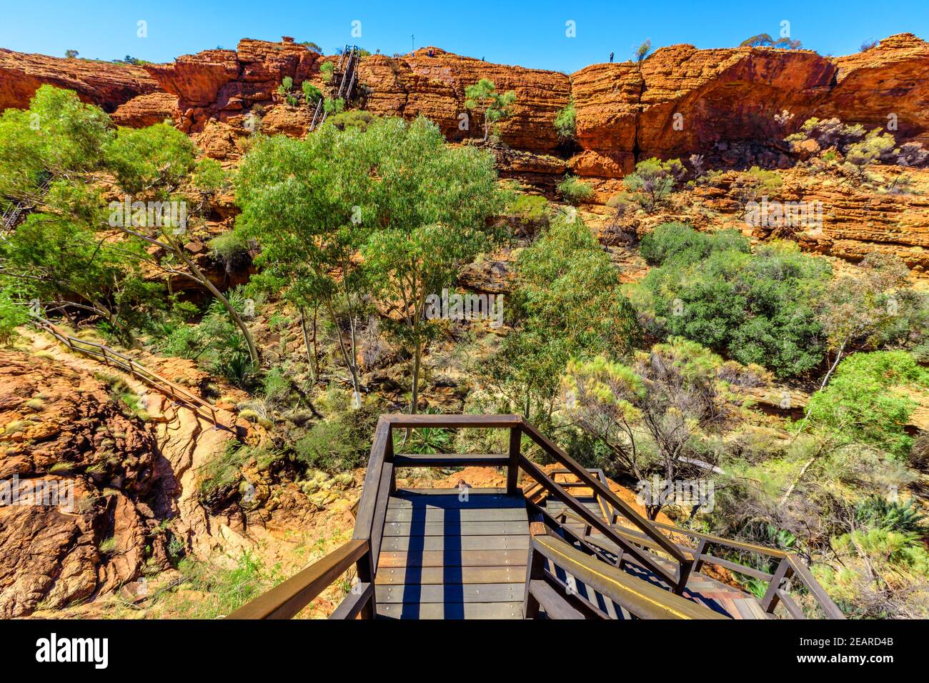 Treppen am Kings Canyon führen hinunter zum Garden of Eden, Watarrka National Park, Northern Territory. Luftige, zerklüftete Landschaft, roter Sandstein, Gummibäume Stockfoto