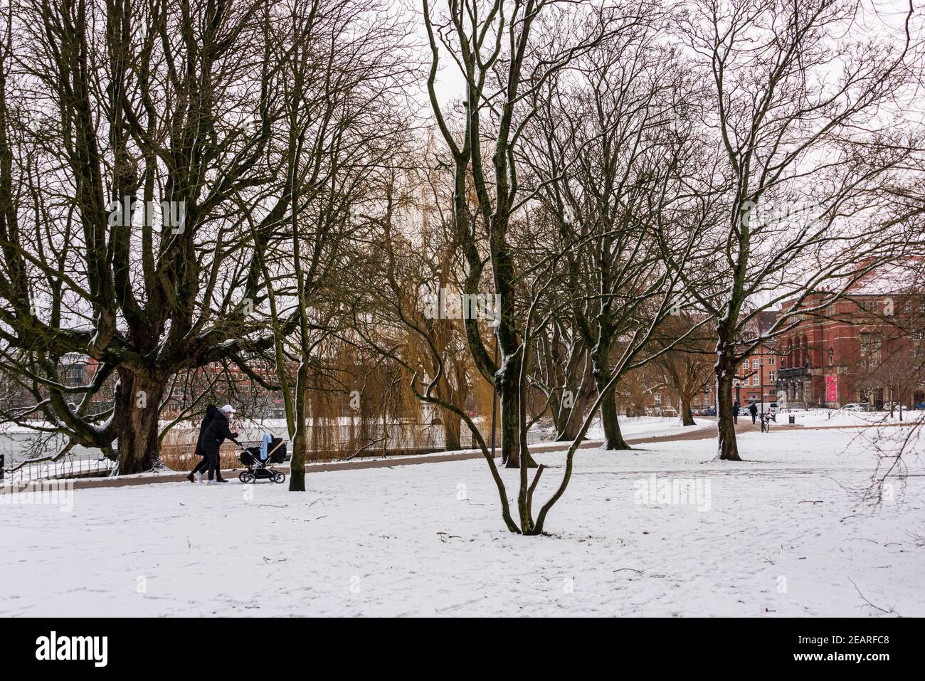 Wintereinbruch in Kiel Innenstadt, Schrevenpark und Hiroshimapark Stockfoto