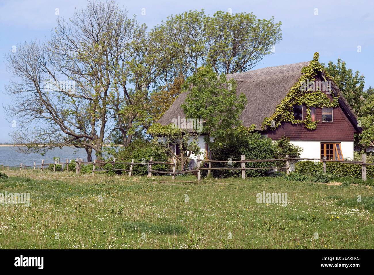 Haus bin Saaler Bodden, wustrow Stockfoto