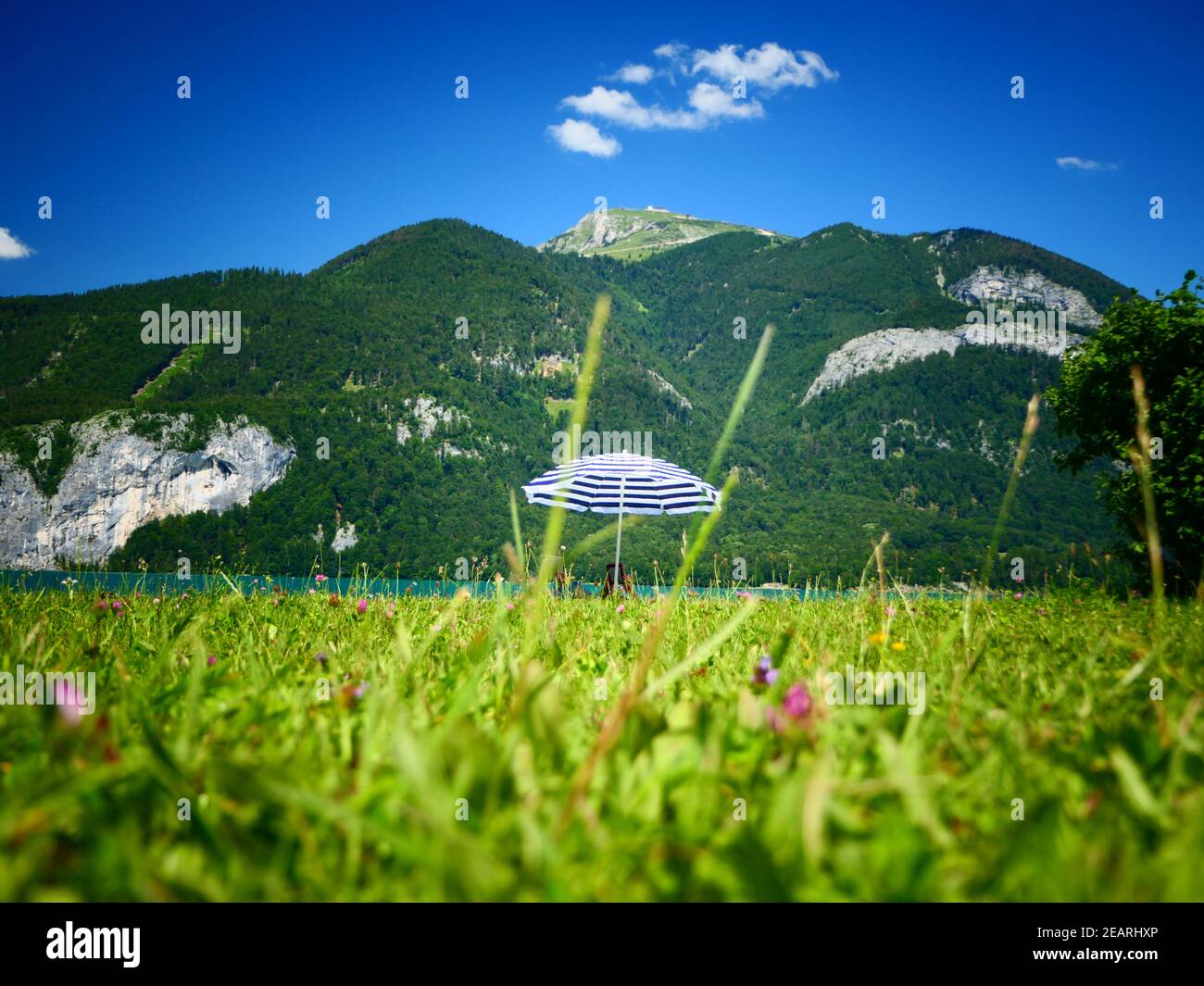 Sonnenbaden am Wolfgangsee, Wolfgangsee, SalzburgerLand, Salzburg, Österreich Stockfoto
