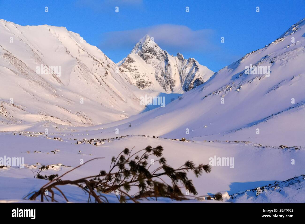 Baikalgebirge im Winter im Schnee. Wald in schneebedeckten Bergen. Stockfoto
