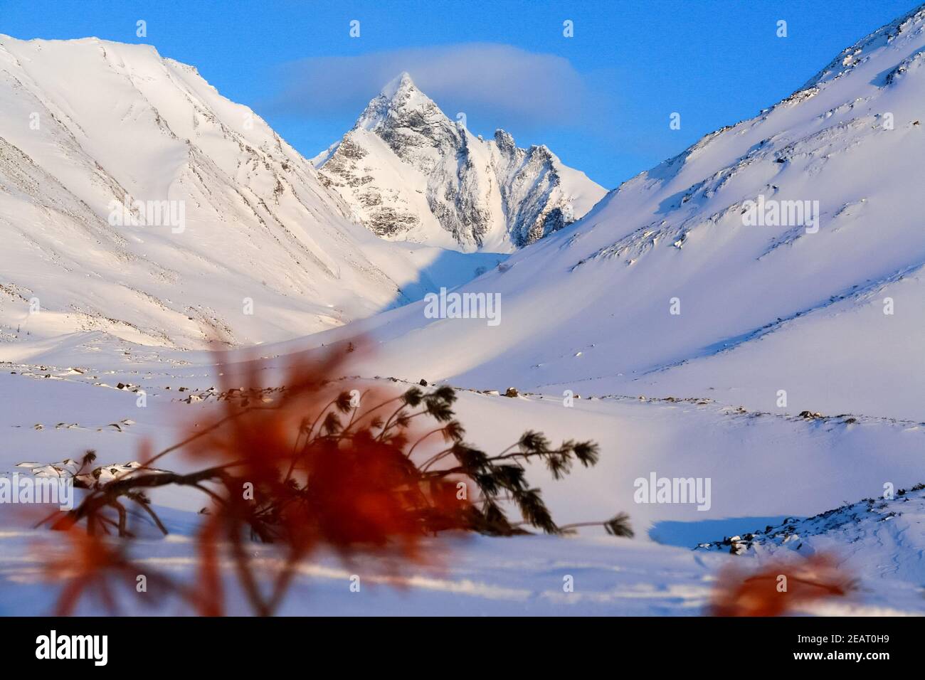 Baikalgebirge im Winter im Schnee. Wald in schneebedeckten Bergen. Stockfoto