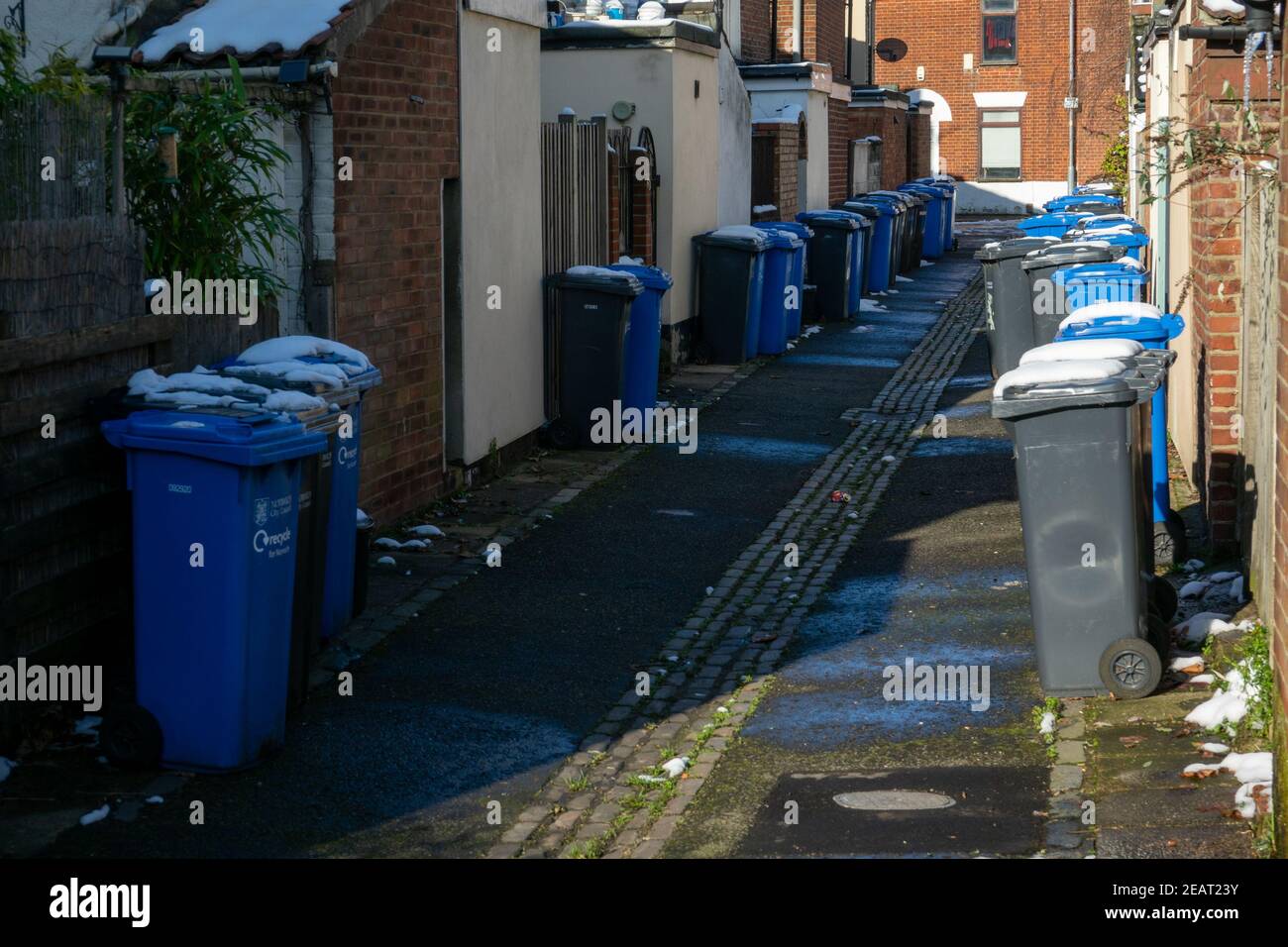 Mülltonnen in der Hintergasse Terraced Street Norwich Stockfoto