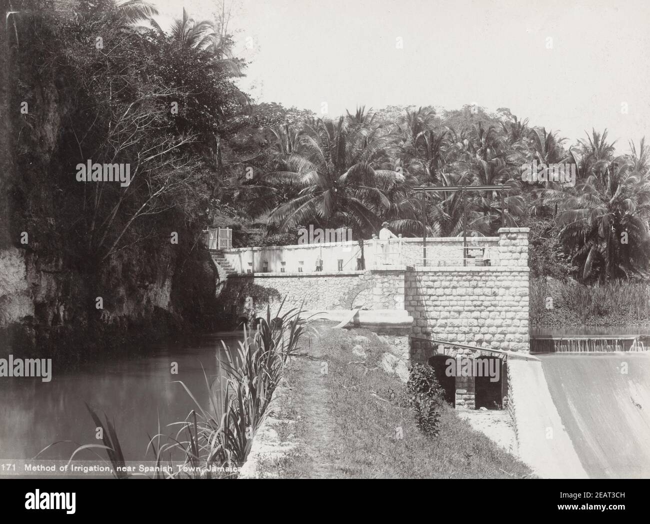 Ende 19th Jahrhundert Foto: Landwirtschaft, Bewässerung, Spanish Town Jamaica Stockfoto