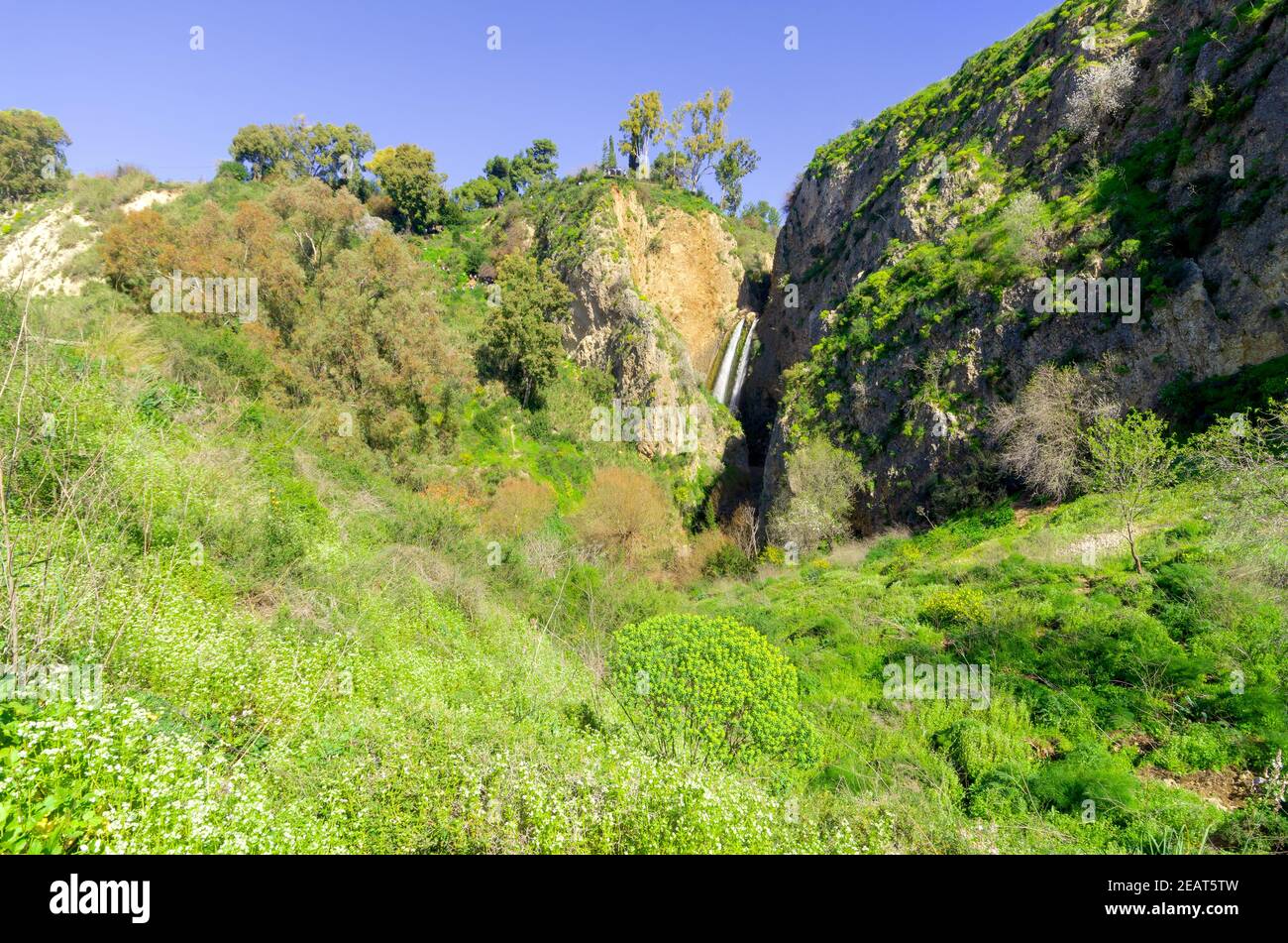 Blick auf den Tanur Wasserfall, mit Landschaft und Wildblumen, im Ayun Stream Nature Reserve, Upper Galilee, Nord-Israel Stockfoto