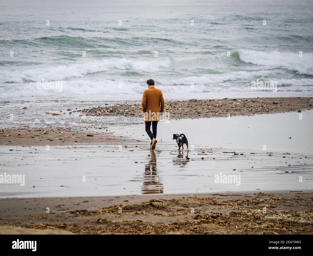 Mann im gelben Mantel, der an einem bewölkten Wintertag am Ufer des Fuengirola Strandes mit seinem Hund entlang läuft. Stockfoto