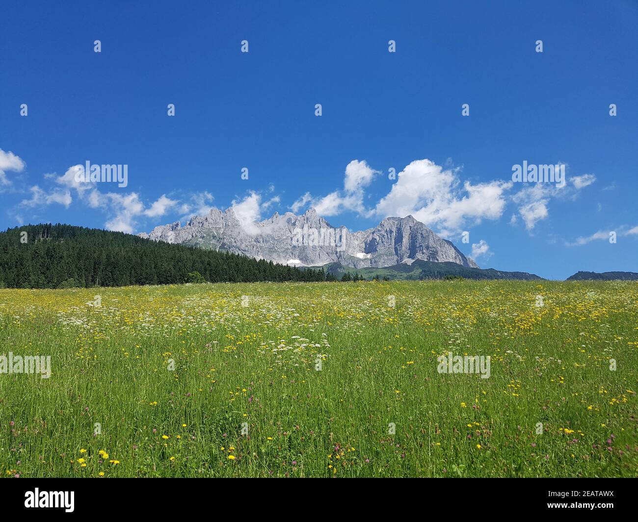 Wilder Kaiser, Tirol, Osterreich, Gebirgsstock Stockfoto
