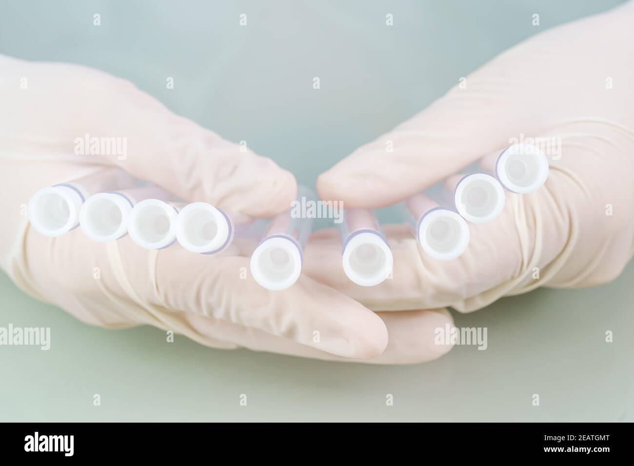 Wissenschaftler analysieren halten Reagenzglas im Labor Stockfoto