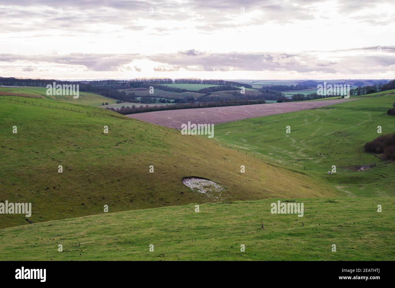 Mit Blick auf ein langes Tal mit grünen Wiesen, rotem Boden und purpurem Winterwald unter einem hellen Winterhimmel, North Wessex Downs AONB Stockfoto