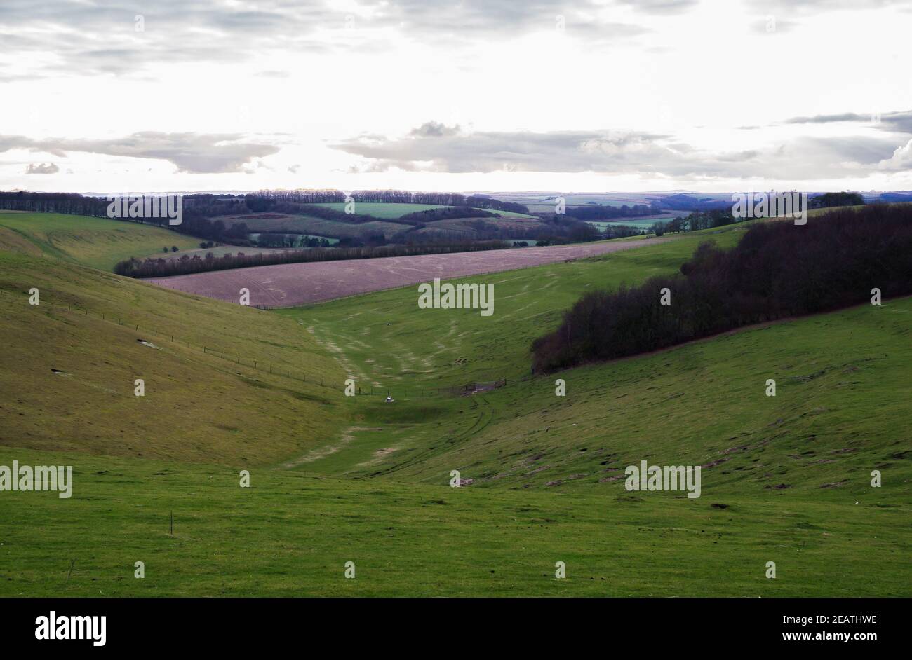 Mit Blick auf ein langes Tal mit grünen Wiesen, rotem Boden und purpurem Winterwald unter einem hellen Winterhimmel, North Wessex Downs AONB Stockfoto