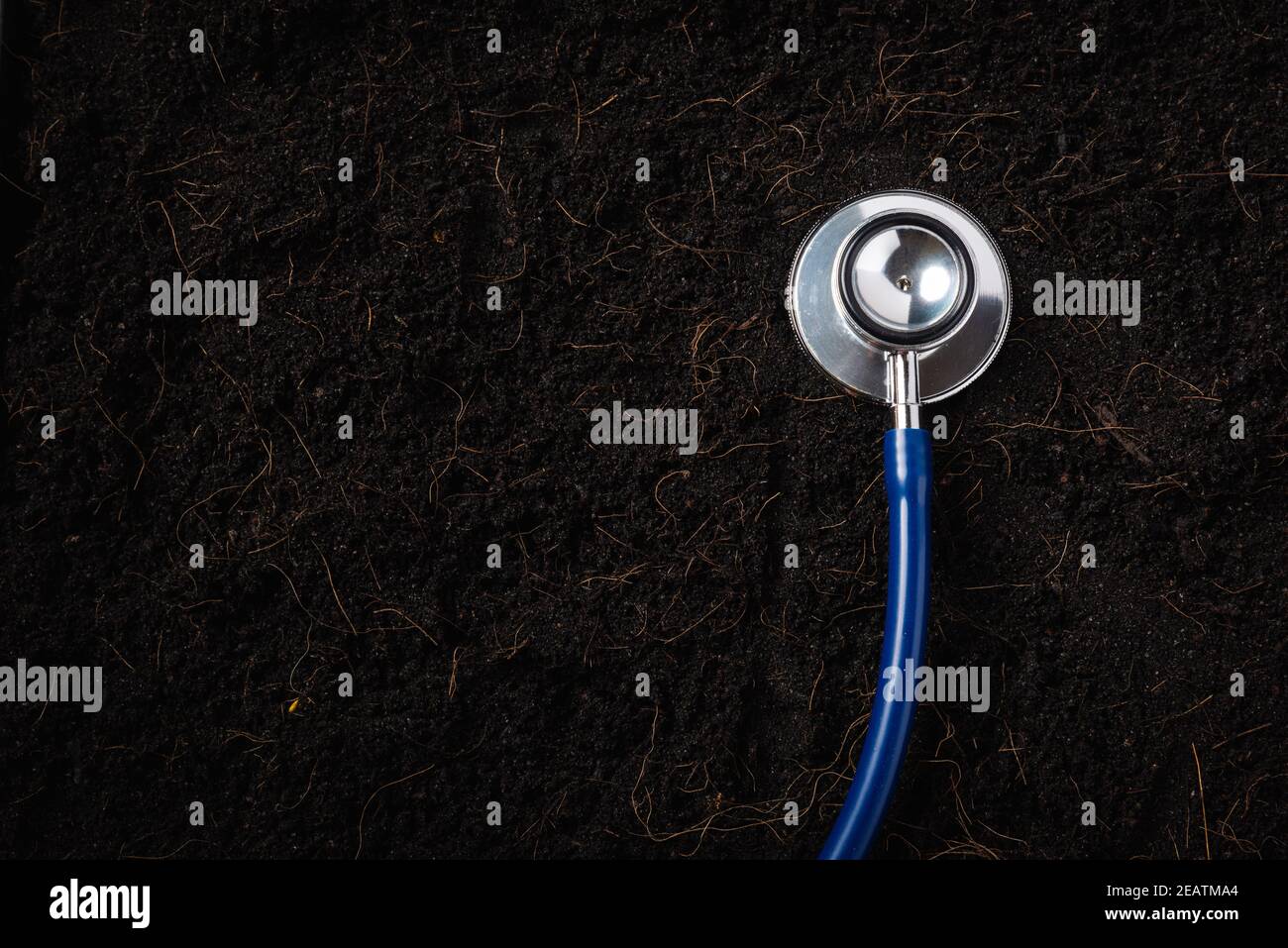 Schwarzes Land für Pflanzenhintergrund und Arzt Stethoskop Stockfoto