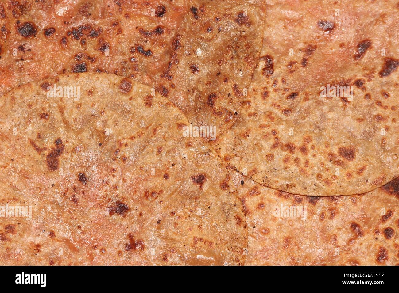 Traditionelle Paratha - Makro Nahaufnahme mit selektivem Fokus auf hausgemachte Fettiges Brot Stockfoto
