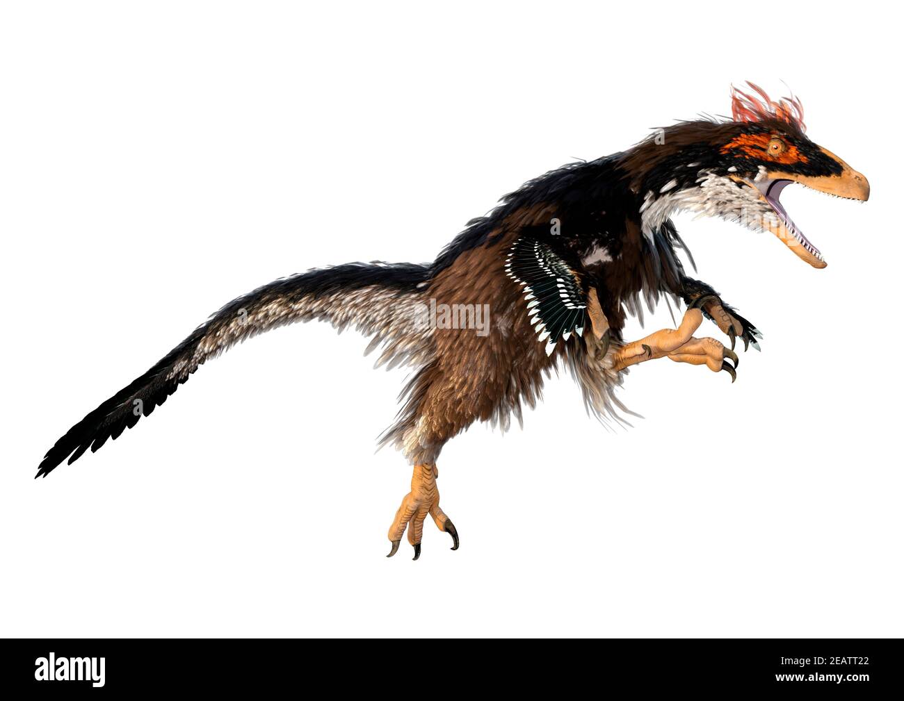 3D Rendering Dinosaur Deinonychus auf Weiß Stockfoto