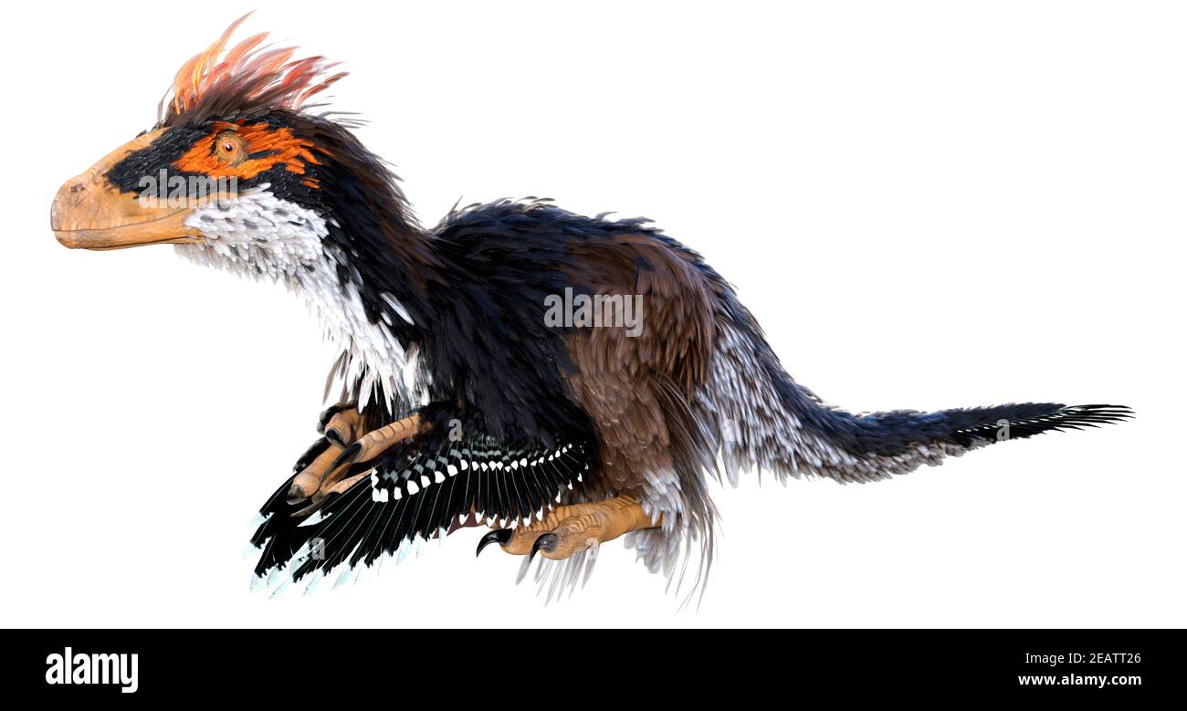 3D Rendering Dinosaur Deinonychus auf Weiß Stockfoto