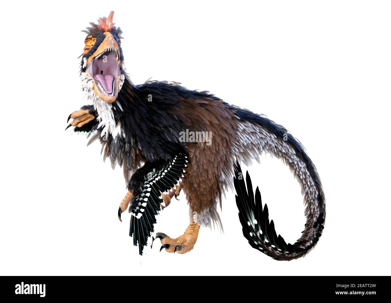 3D Rendering Dinosaur Deinonychus auf Weiß Stockfoto