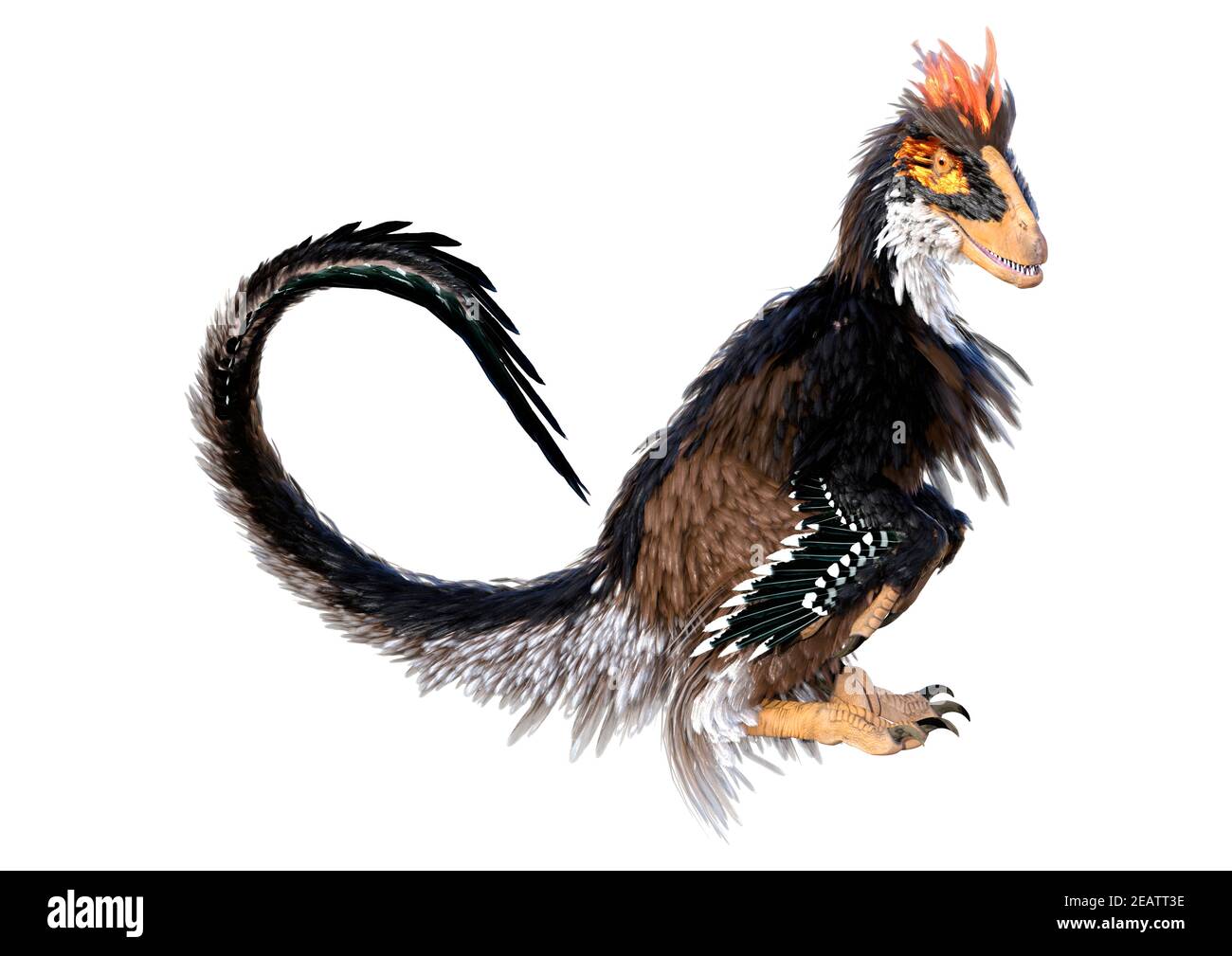 3D Rendering Dinosaur Deinonychus auf Weiß Stockfoto