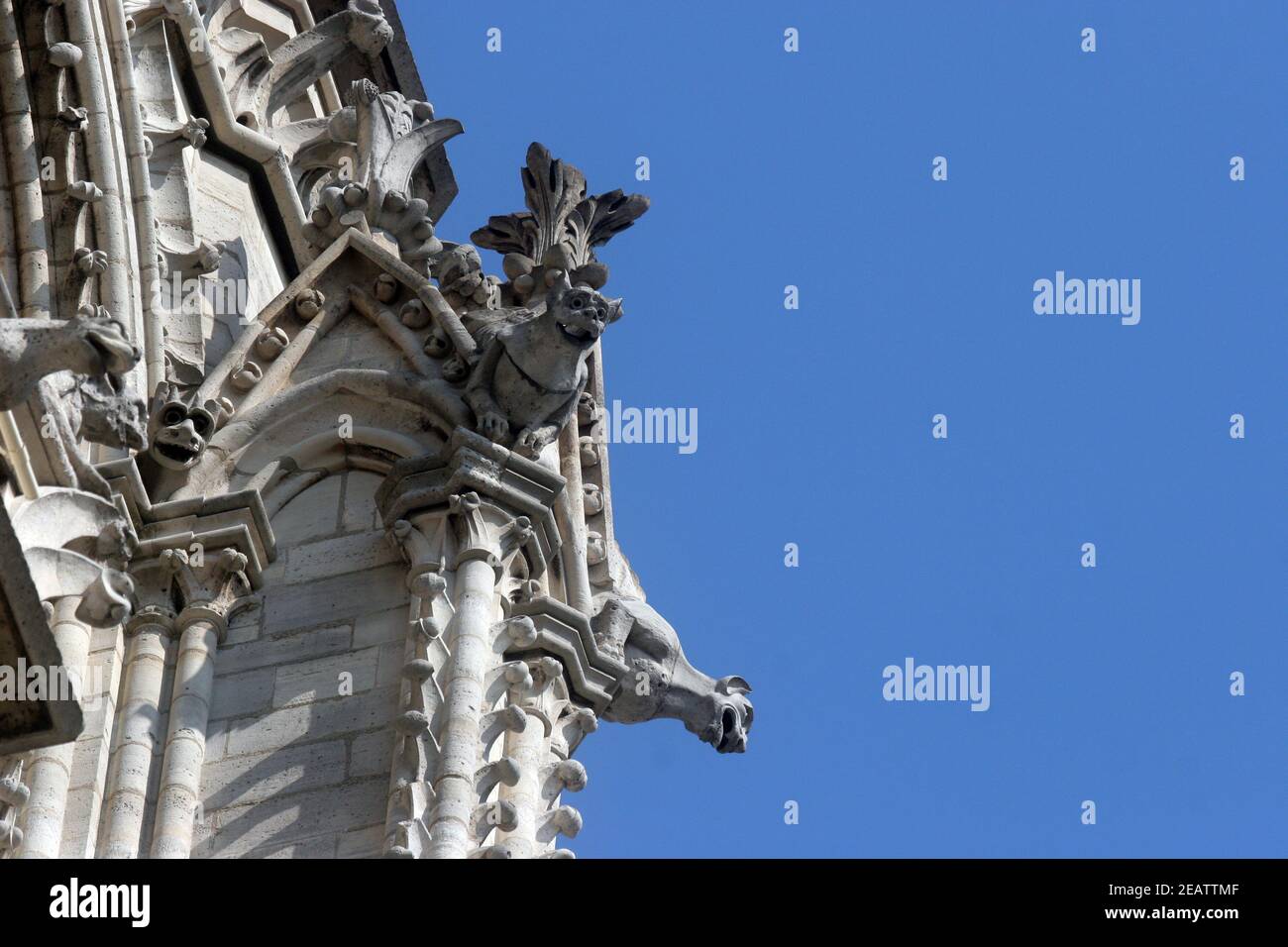 Die Wasserspeier der Kathedrale Notre-Dame, Paris Stockfoto