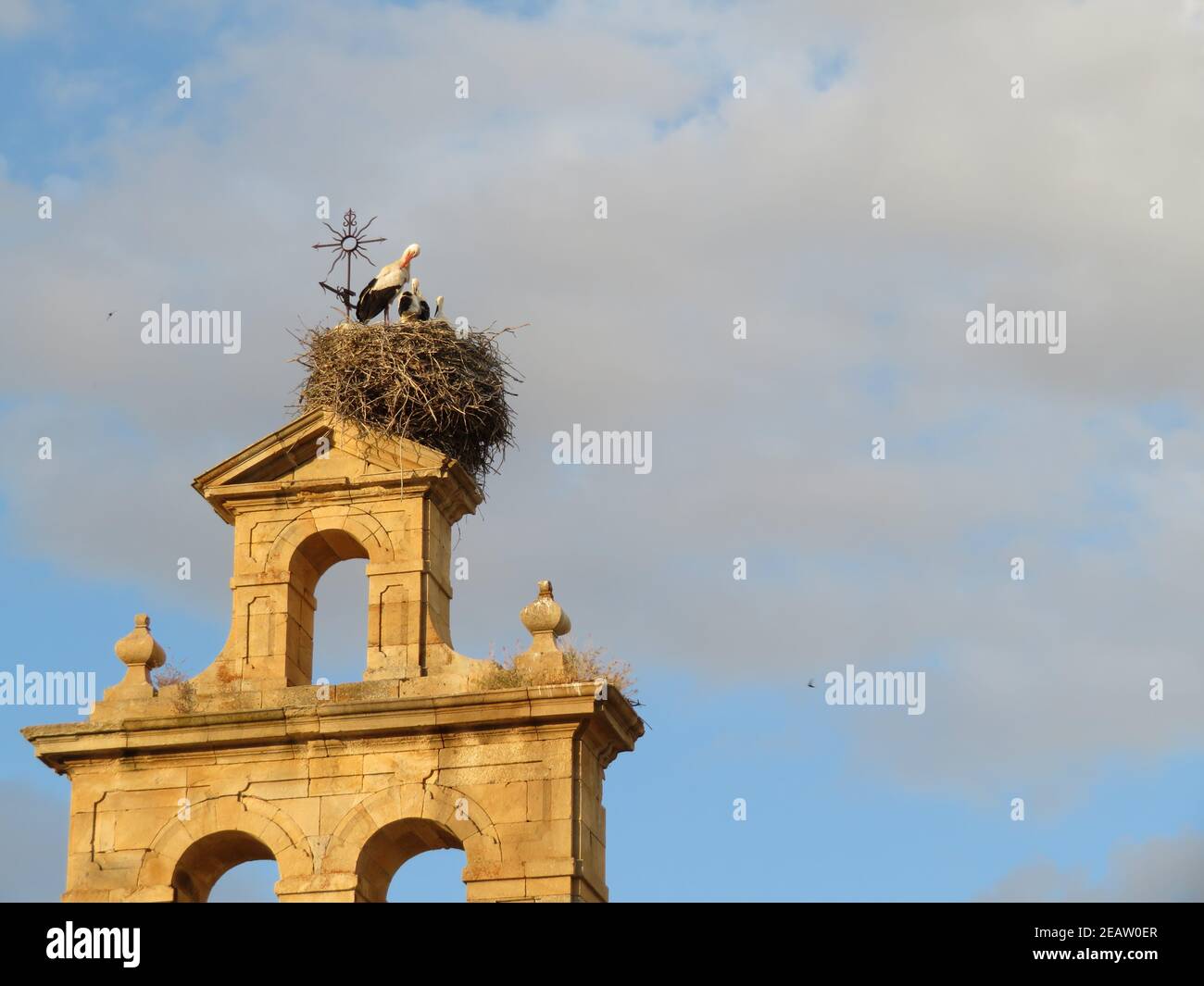 Storch Nest Kirche Religion Vogel Symbol weiß schwarz Stockfoto