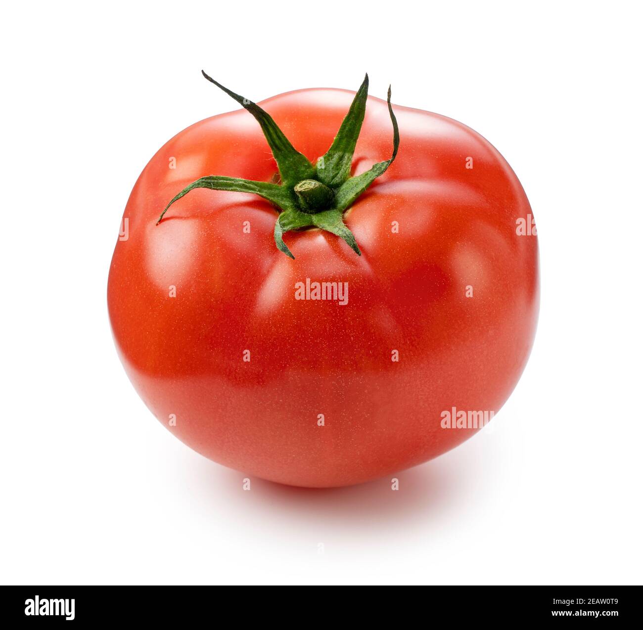 Rote Tomaten auf weißem Hintergrund Stockfoto