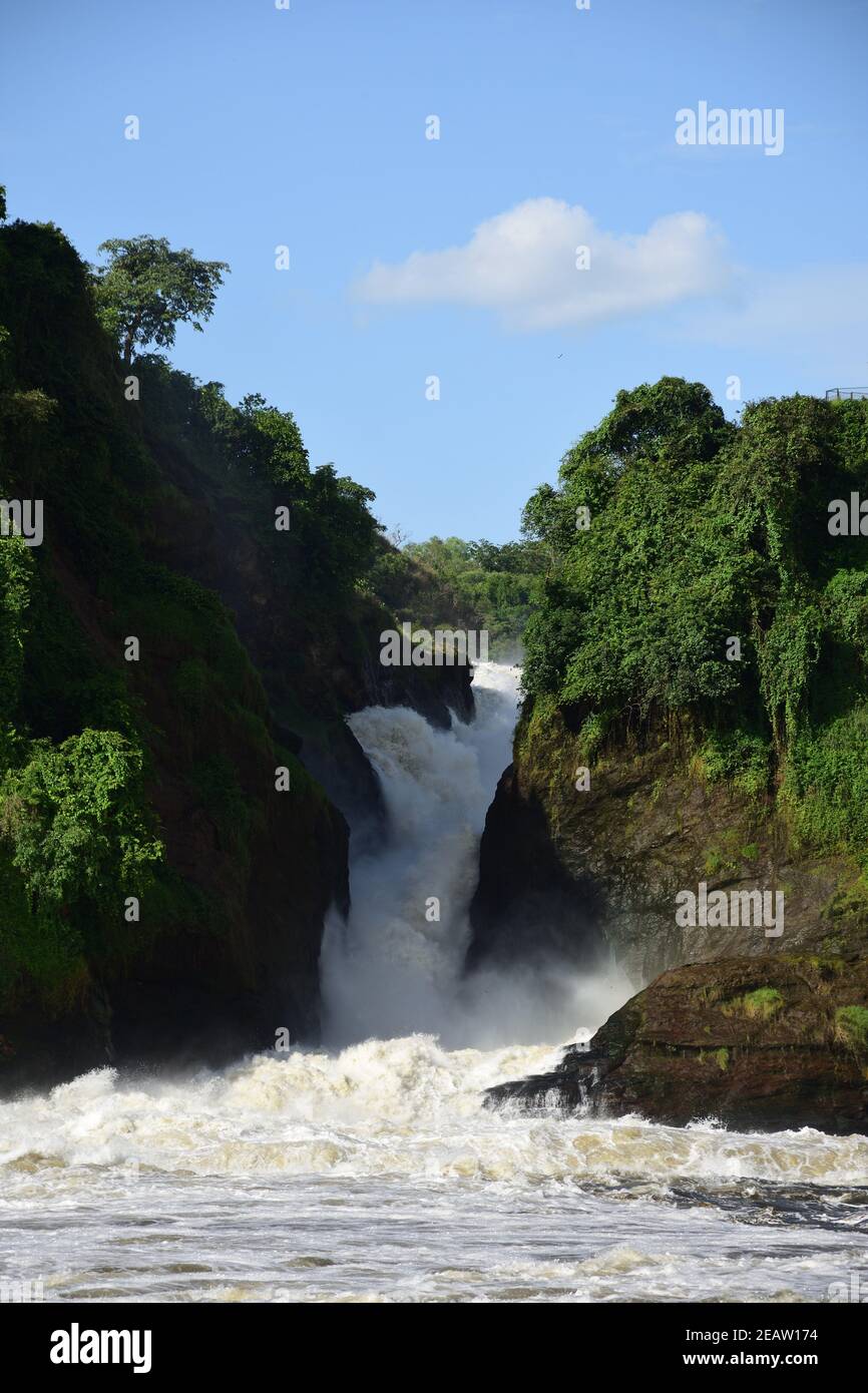 Wasserfall in schönen grünen Wald mit weißem Wasser, Felsen, tosenden Wasser, Murchison Falls National Park Uganda Stockfoto