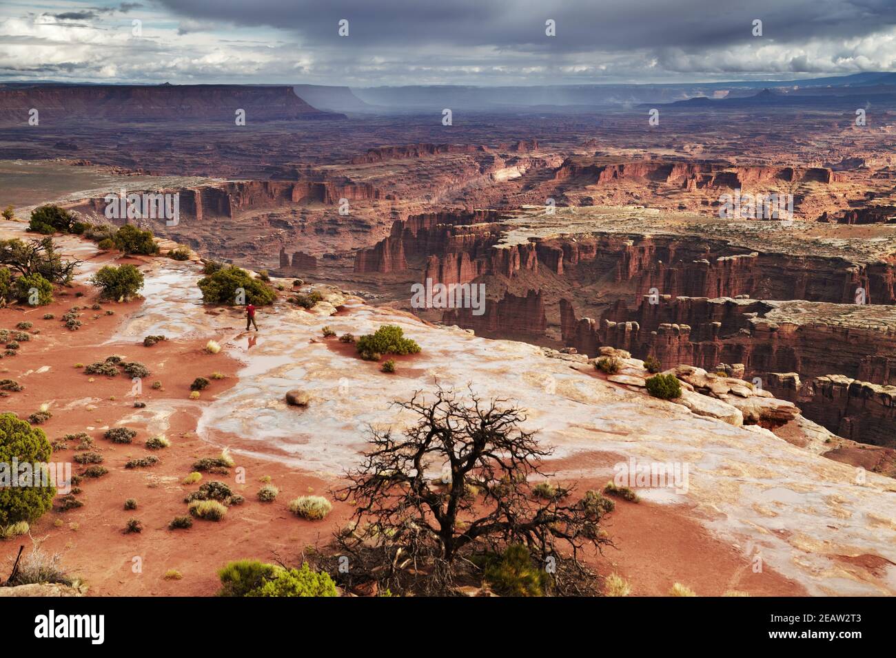 Island in the Sky, Canyonlands National Park, Utah, USA Stockfoto