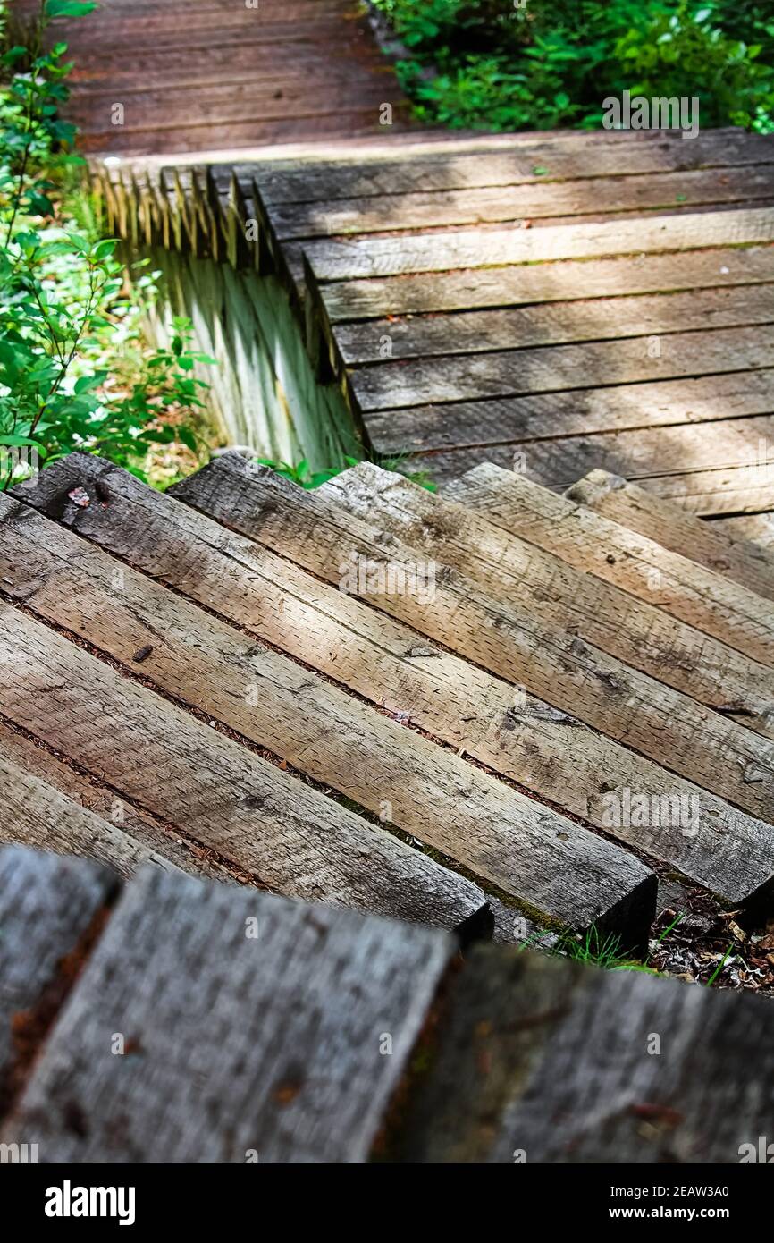 Vertikale Abwärtsansicht von Holztreppen auf einem Pfad Stockfoto