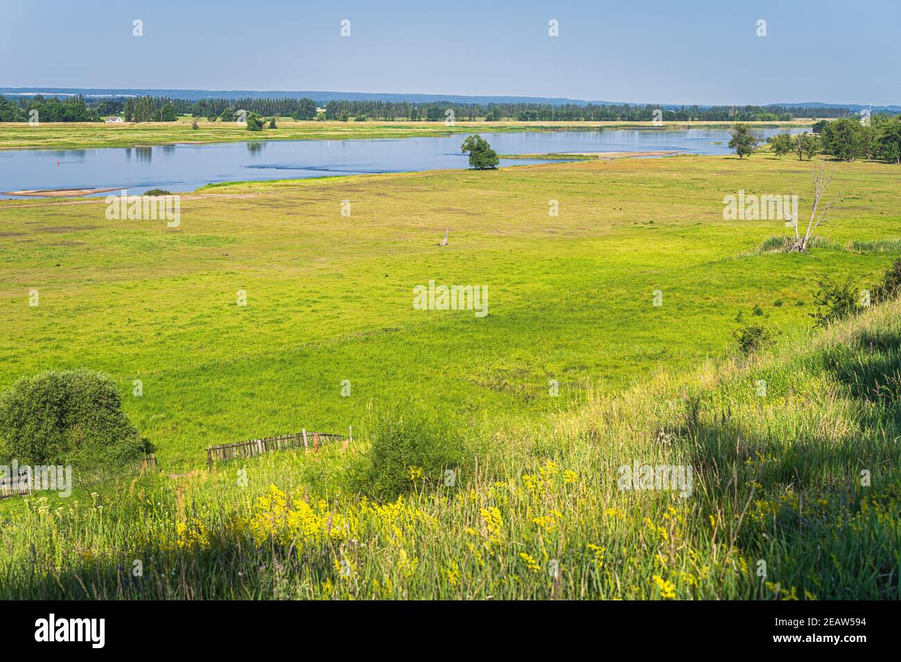 Sommer ländliche Landschaft mit landwirtschaftlichen Feldern auf einem Ufer Ein Fluss Stockfoto