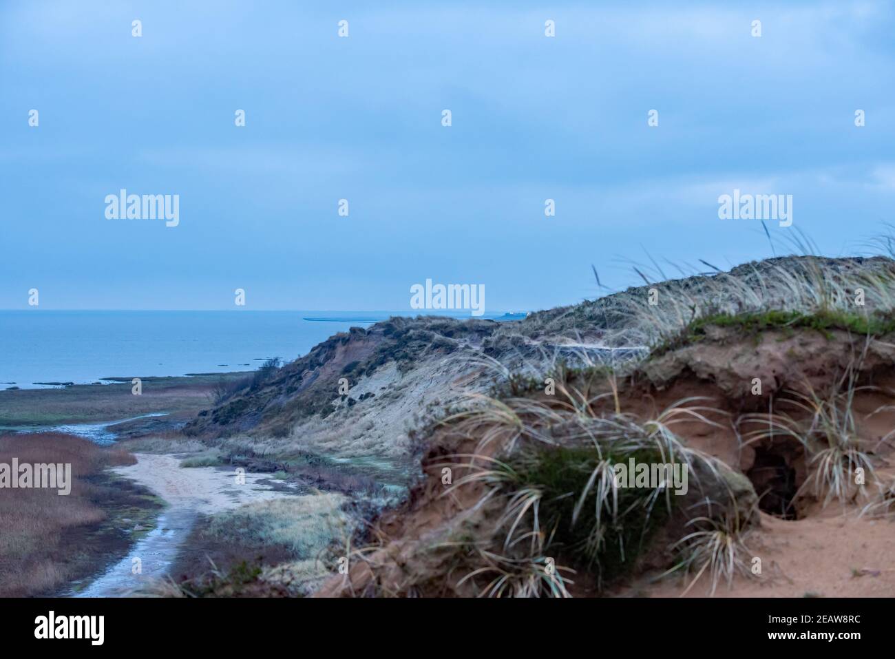 Naturschutzgebiet Morsumer Klippe Stockfoto